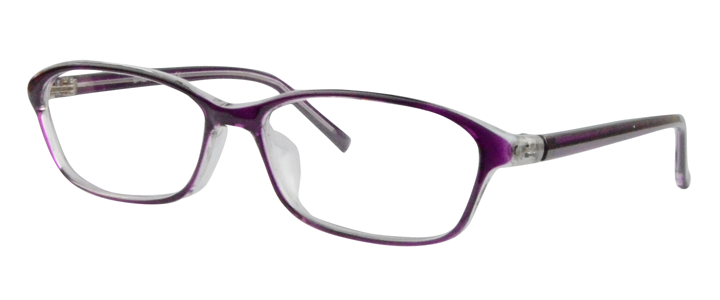 P2448 Purple Discount Glasses