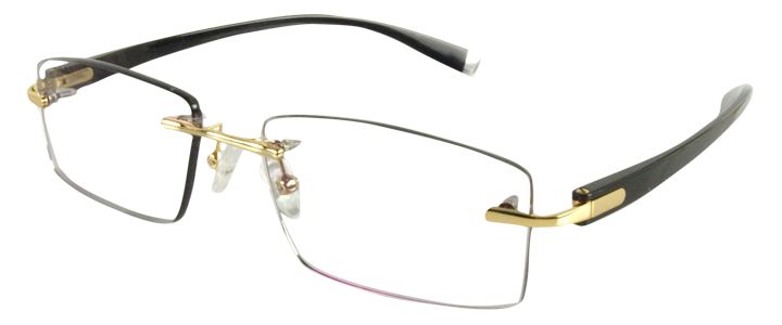 R58025 Gold Mens Eyeglasses