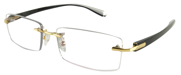 R58026 Gold Rimless Glasses
