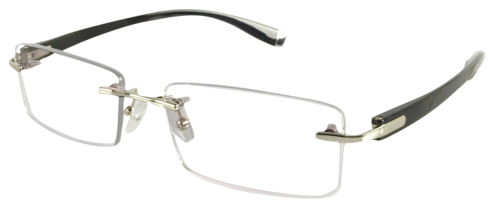 R58026 Silver Mens Eyeglasses