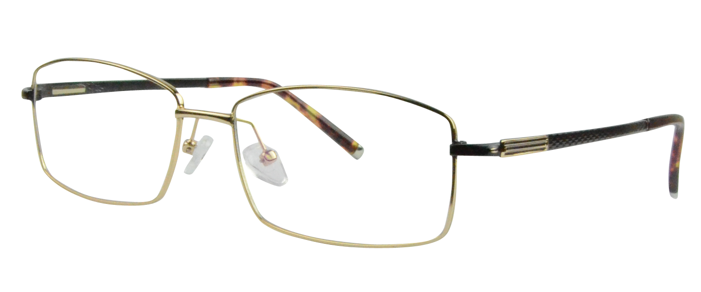 T9103 Gold Titanium Eyeglasses