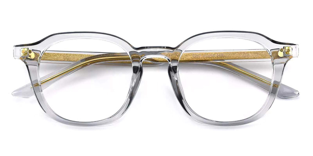 A2557 Accetate Glasses Gray