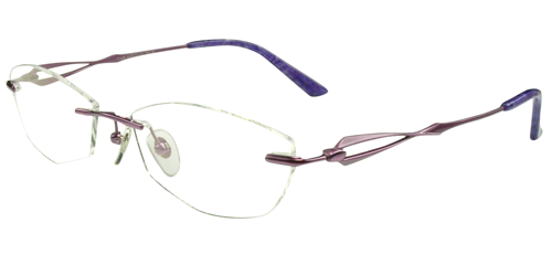 RT1126 Purple Eyeglasses